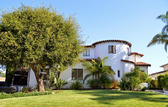 Boost property value with tree care