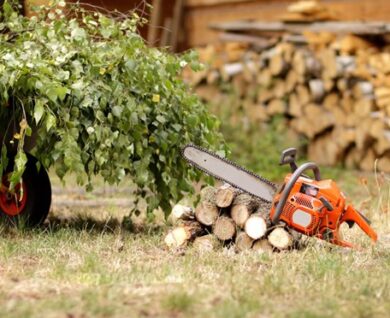 tree roots removal