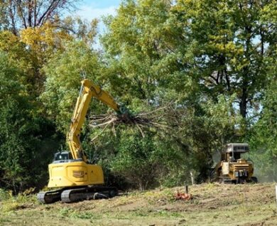 Land clearing